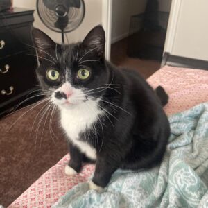 Princess Boogers Princess Boogers