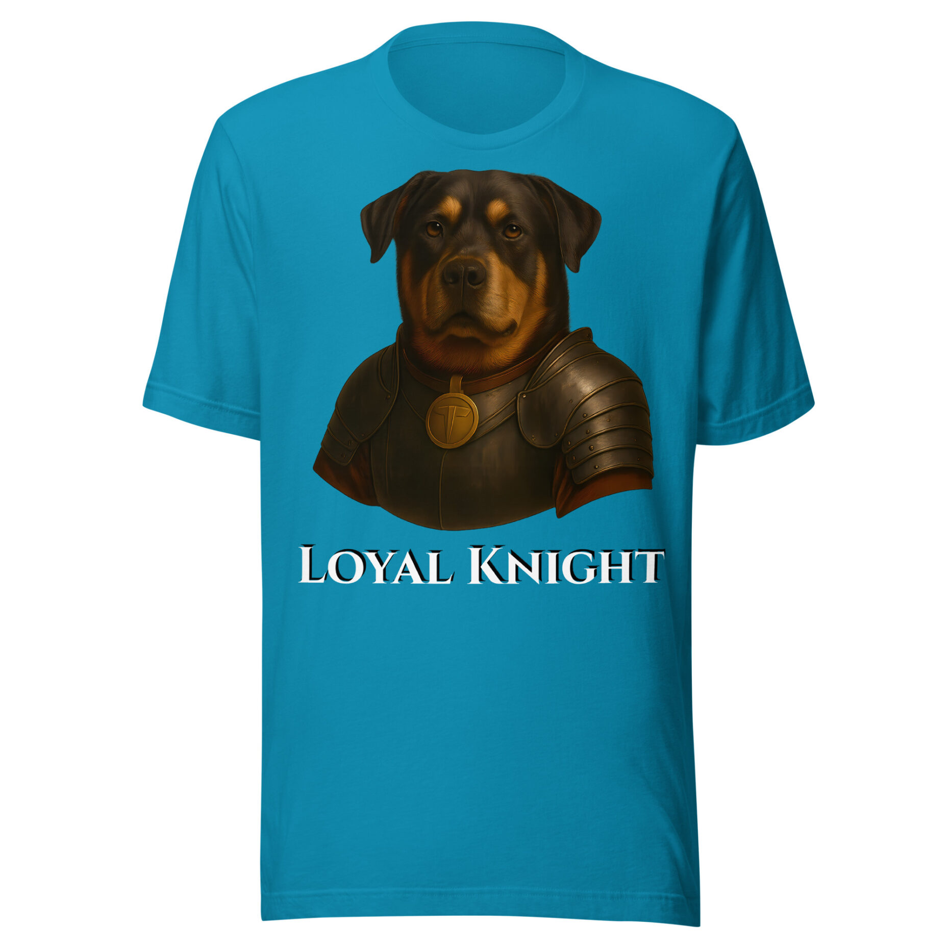 Buddy The Brave Knight - Image 4