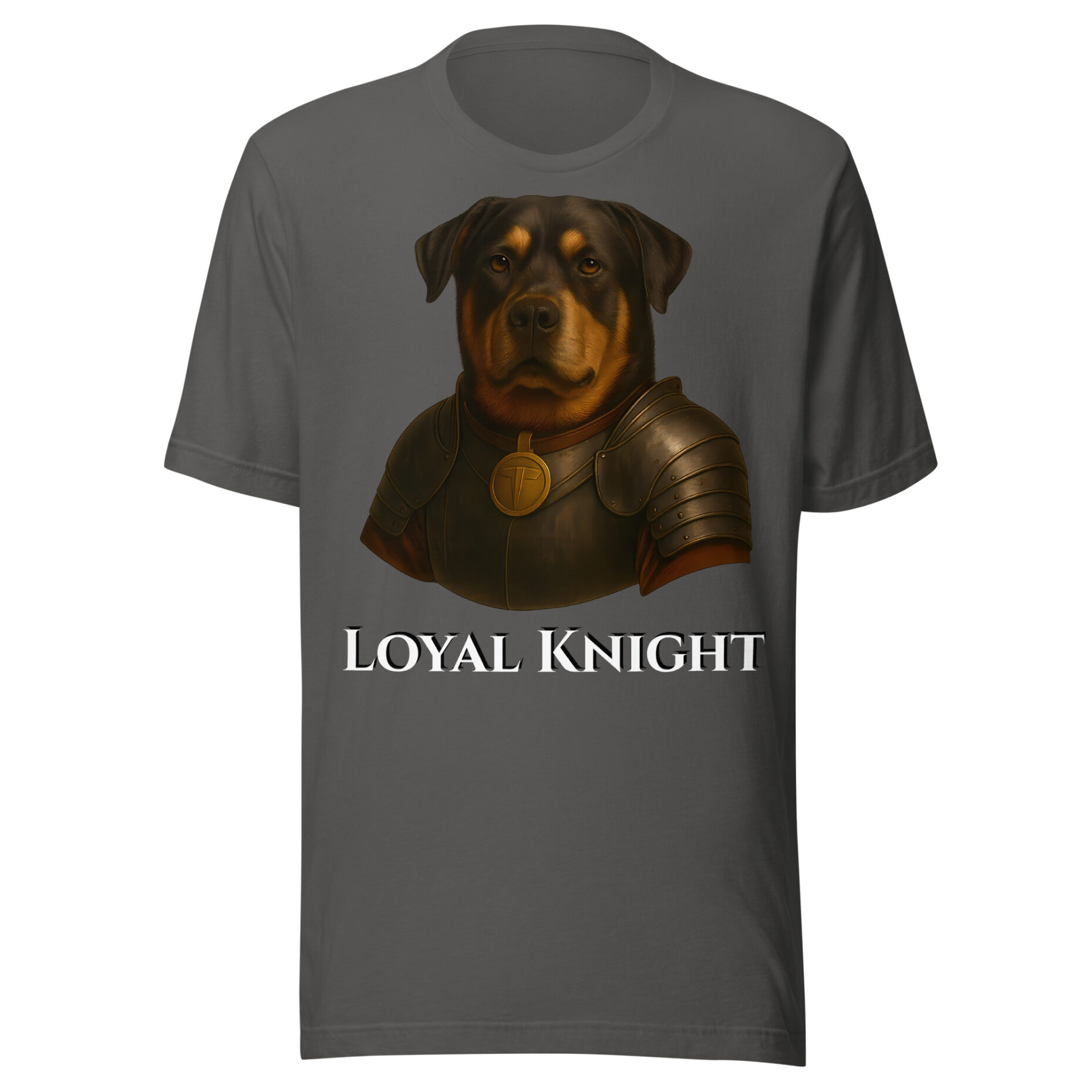 Buddy The Brave Knight - Image 5