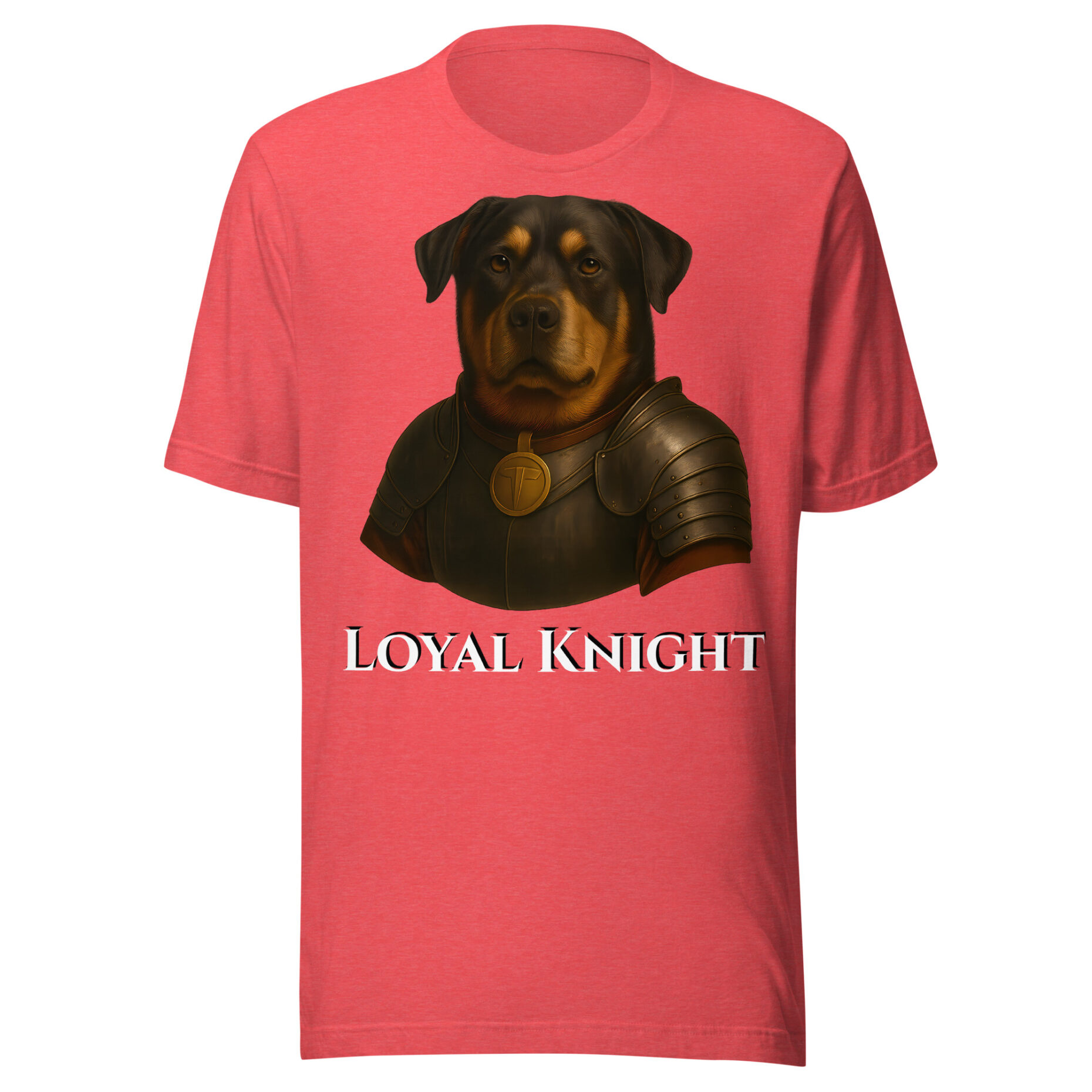 Buddy The Brave Knight - Image 8