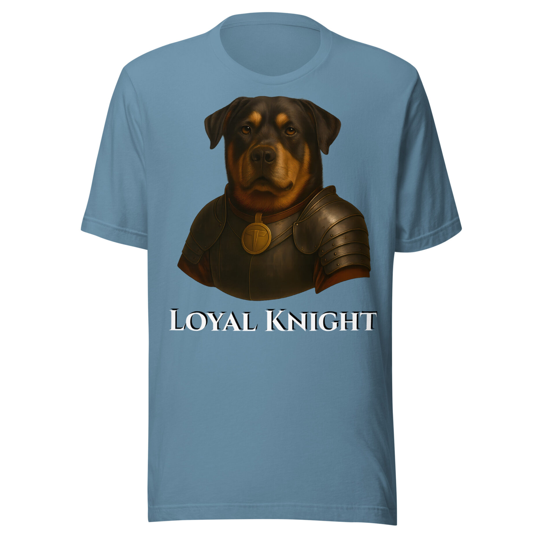 Buddy The Brave Knight