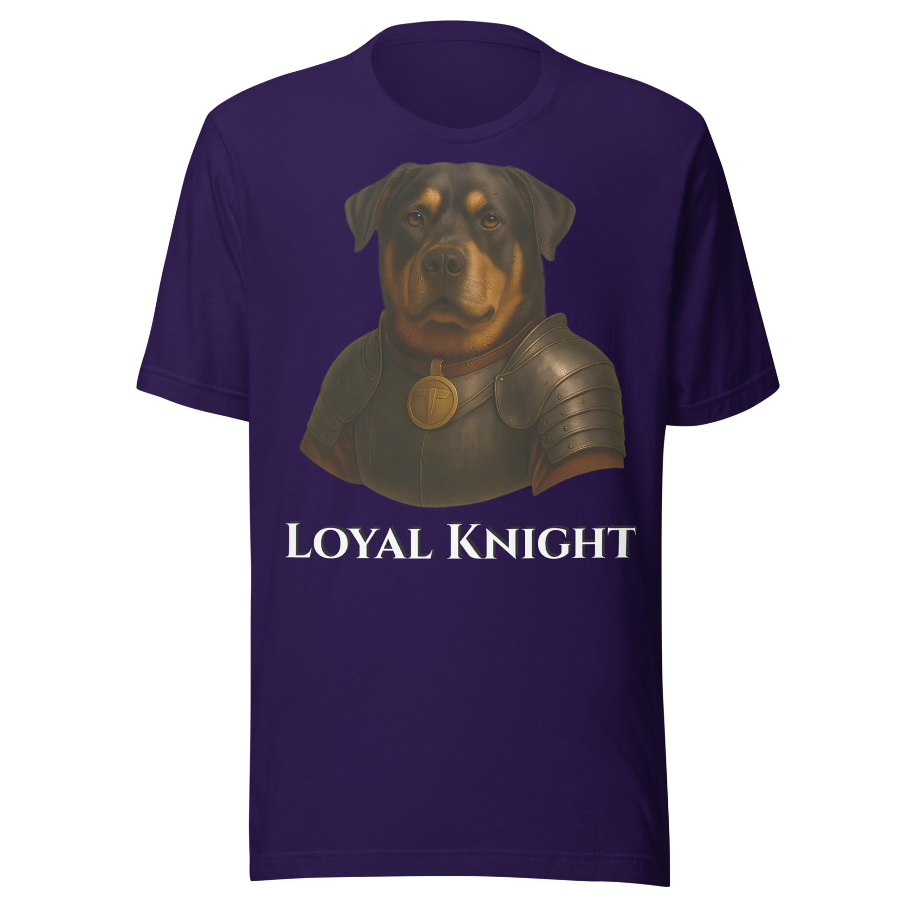Buddy The Brave Knight - Image 10