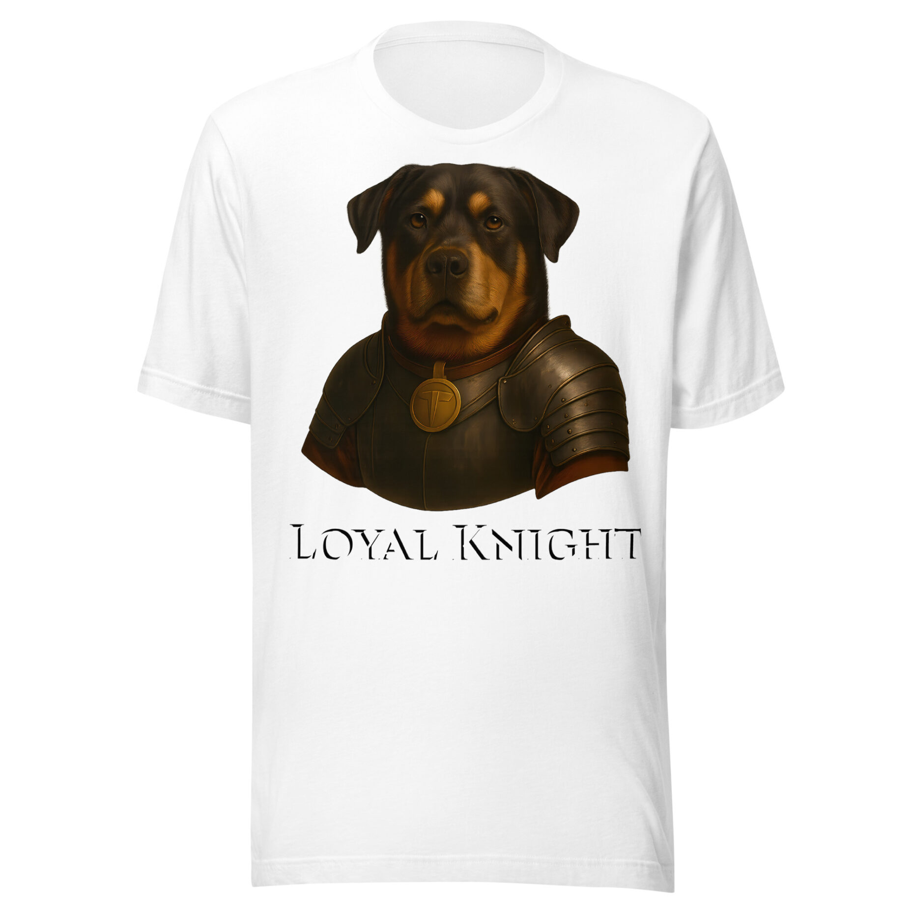 Buddy The Brave Knight - Image 11